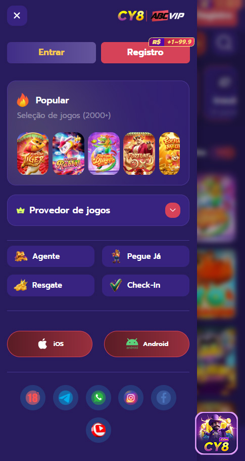 Infraestrutura segura e suporte cy8.com